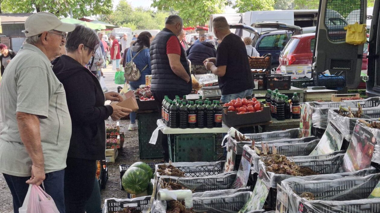 sajam srijedom 28052025 (61)