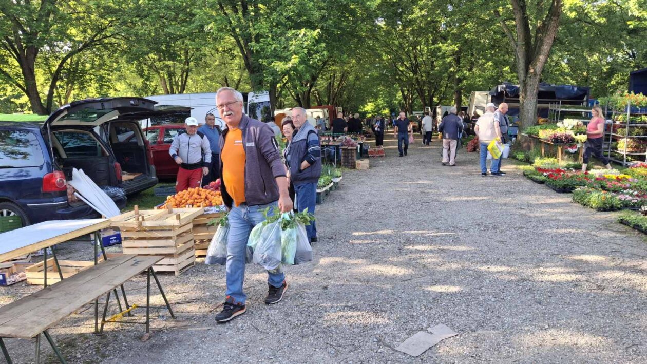 sajam srijedom 28052025 (67)