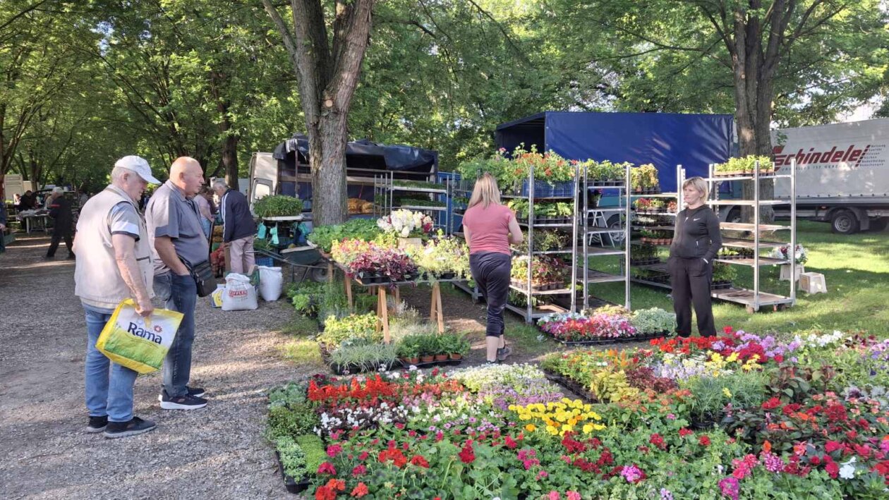 sajam srijedom 28052025 (68)