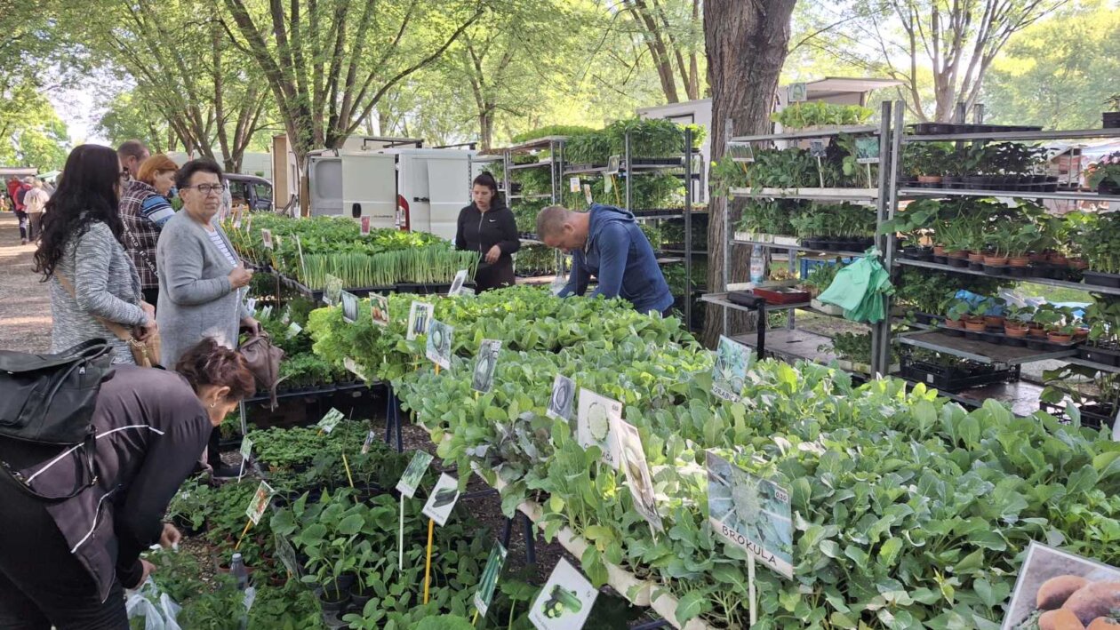 sajam srijedom 28052025 (7)