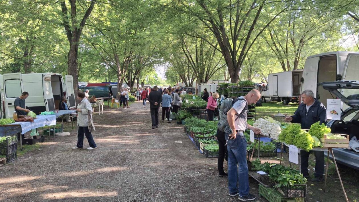 sajam srijedom 28052025 (9)