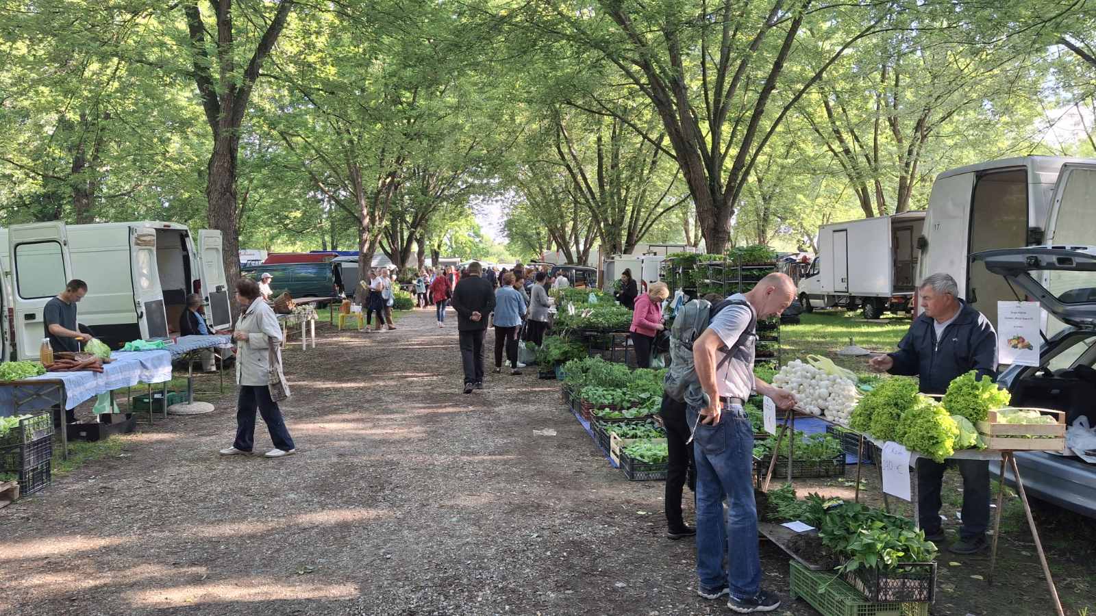 sajam srijedom 28052025 (9) sajam srijedom 28052025 (9)