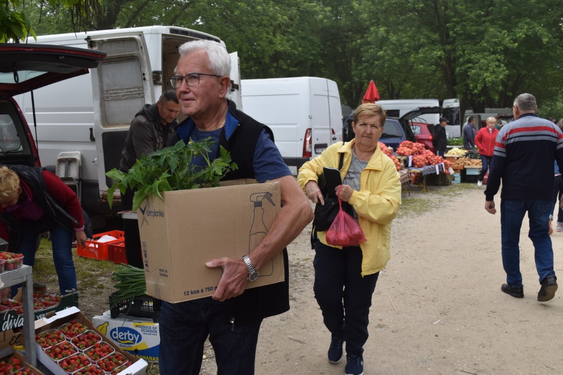 sajam srijedom (3) sajam srijedom (3)