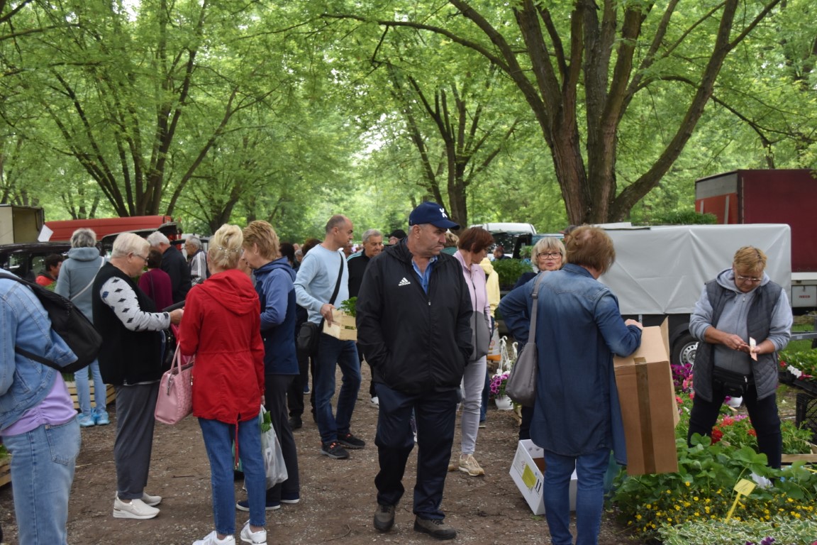 sajam srijedom (39) sajam srijedom (39)