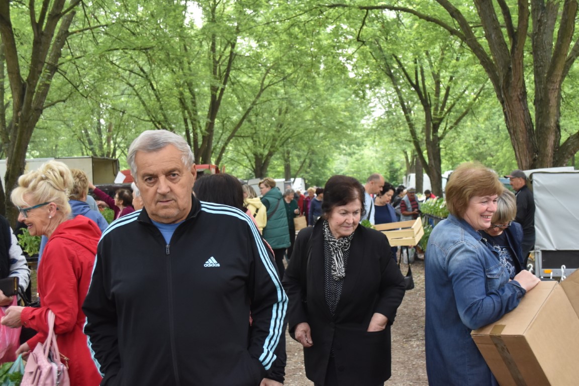 sajam srijedom (40) sajam srijedom (40)