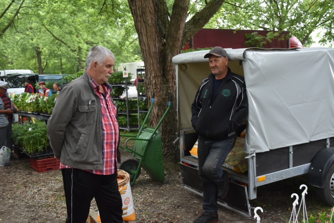 sajam srijedom (41) sajam srijedom (41)