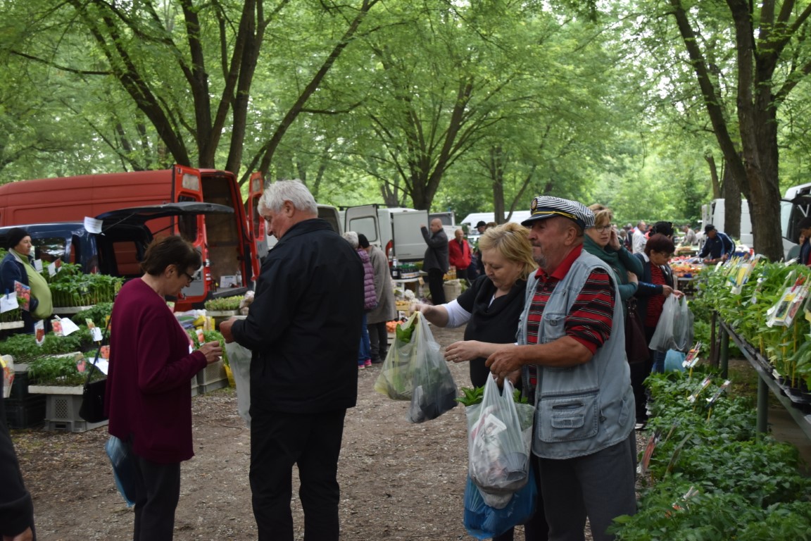 sajam srijedom (43) sajam srijedom (43)