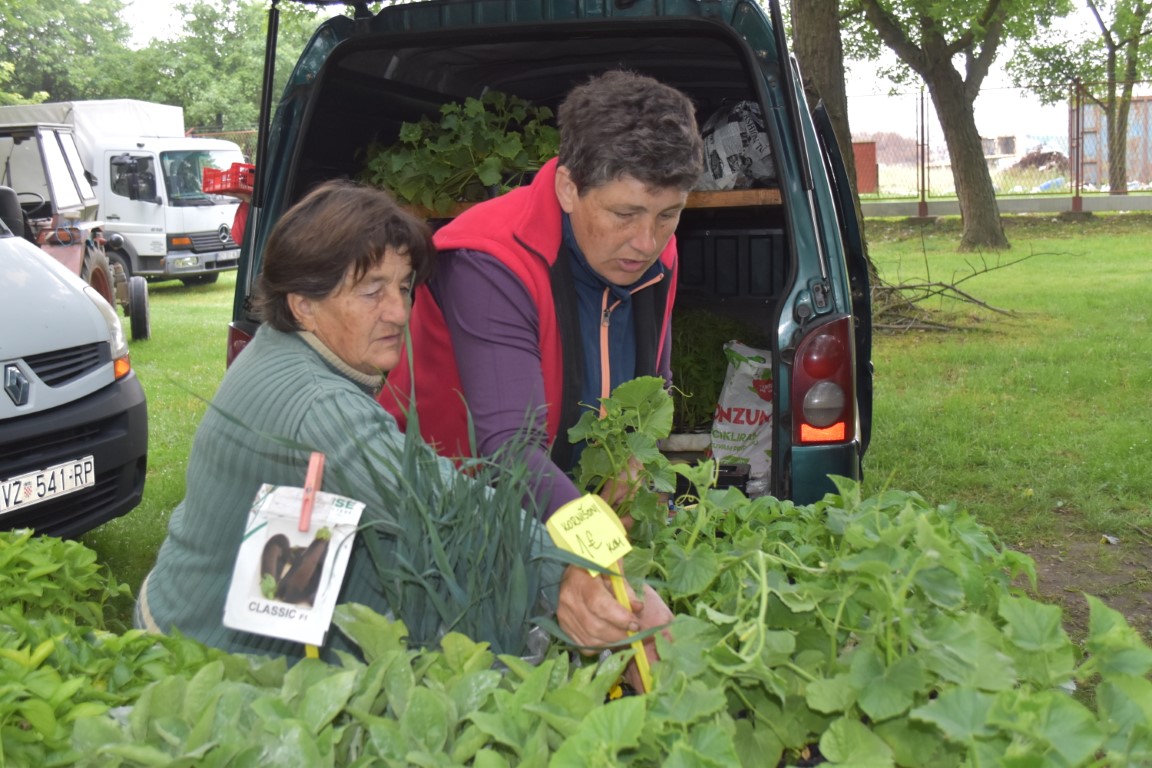 sajam srijedom (44) sajam srijedom (44)