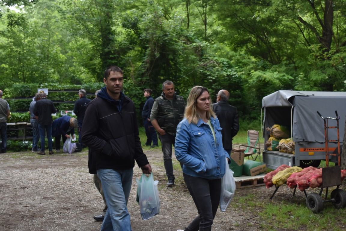 sajam srijedom (47) sajam srijedom (47)