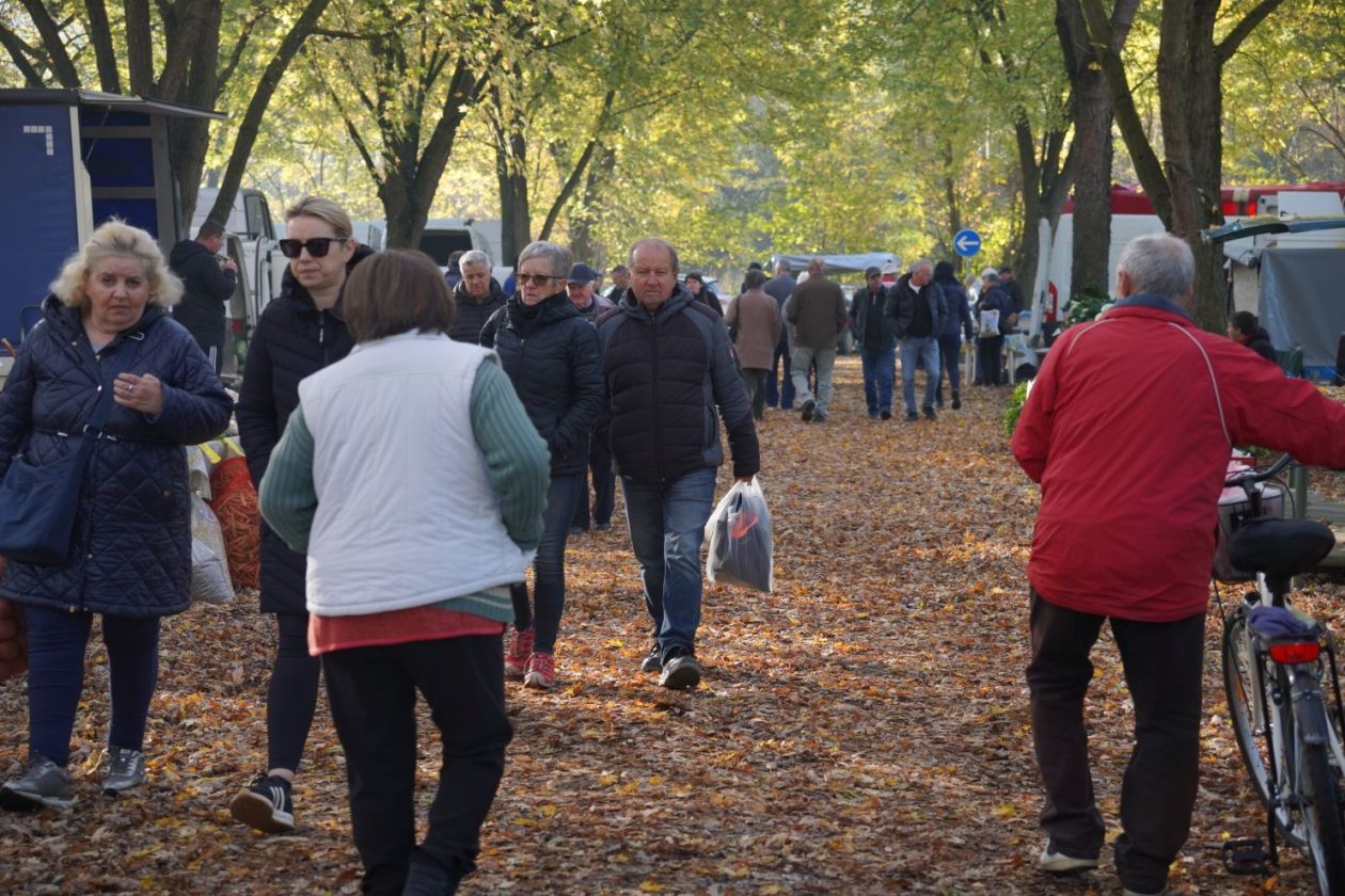 sajam srijedom 5.11.2025 (14)