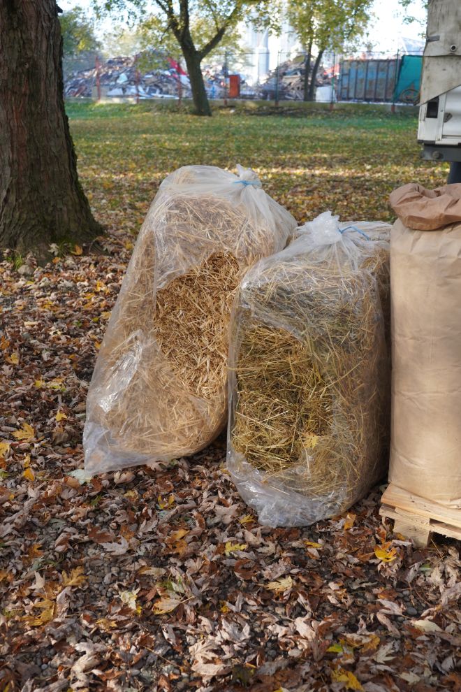 sajam srijedom 5.11.2025 (15)