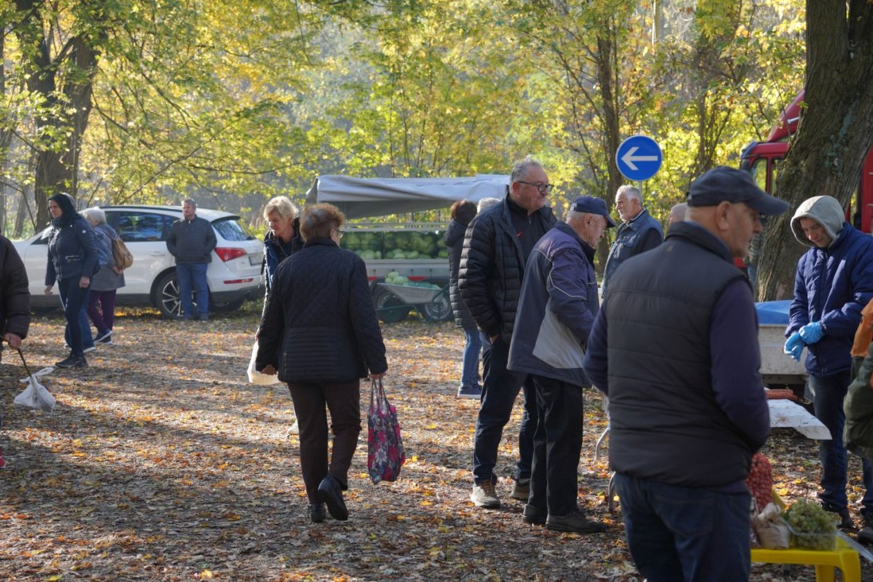 sajam srijedom 5.11.2025 (17)