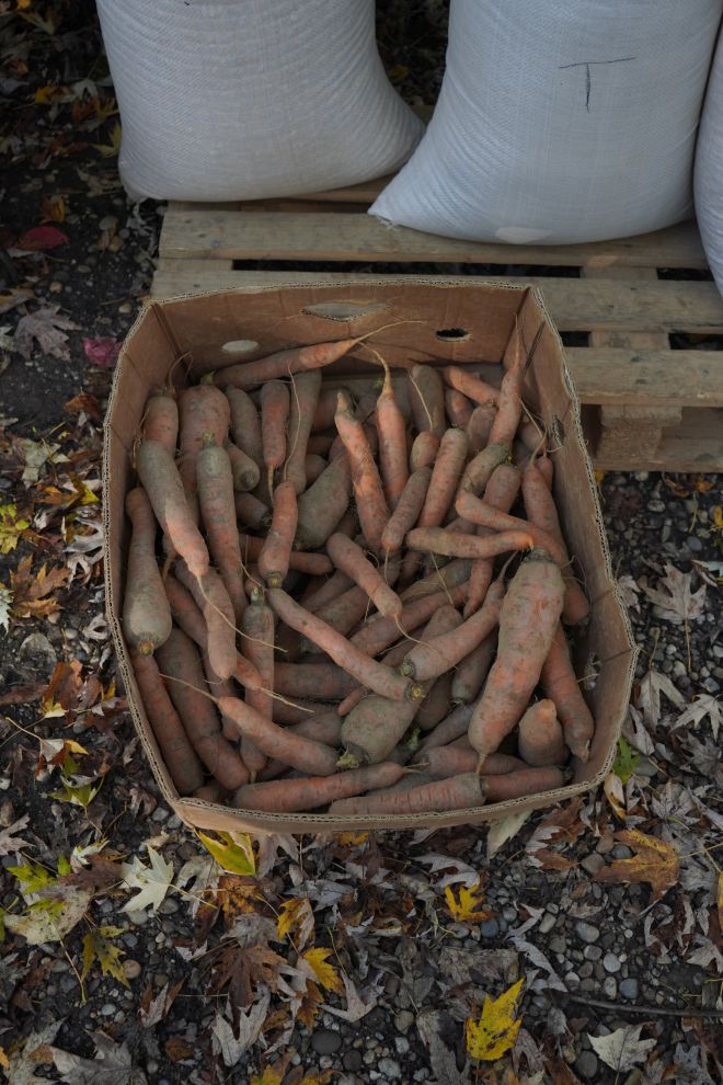 sajam srijedom 5.11.2025 (19)