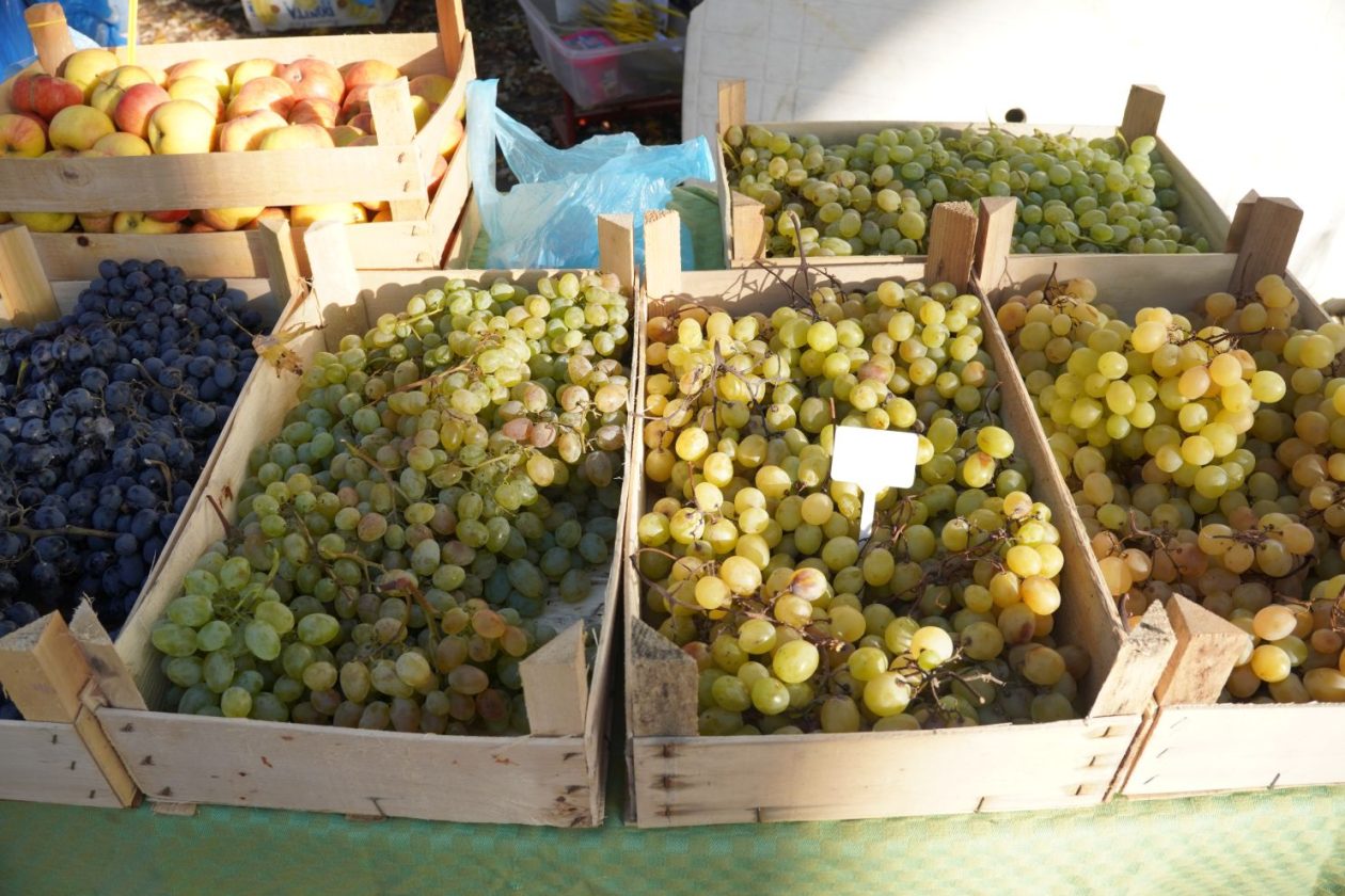 sajam srijedom 5.11.2025 (26)