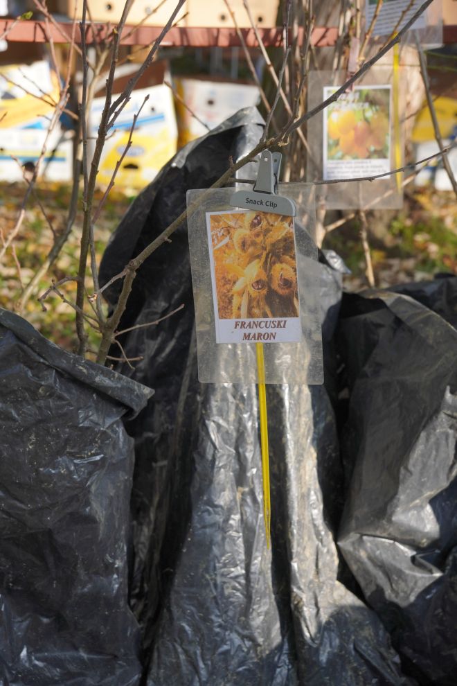 sajam srijedom 5.11.2025 (29)