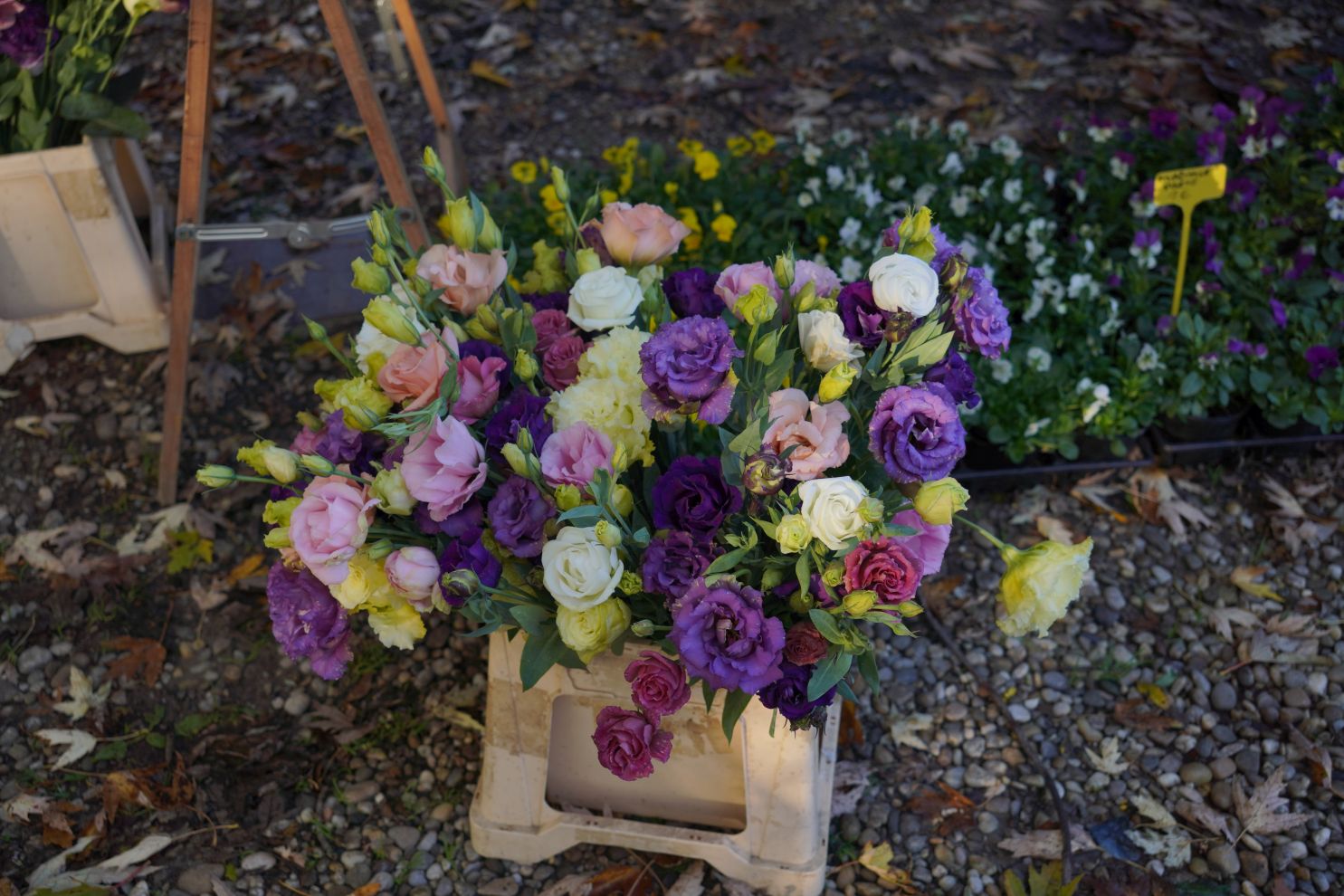 sajam srijedom 5.11.2025 (3)