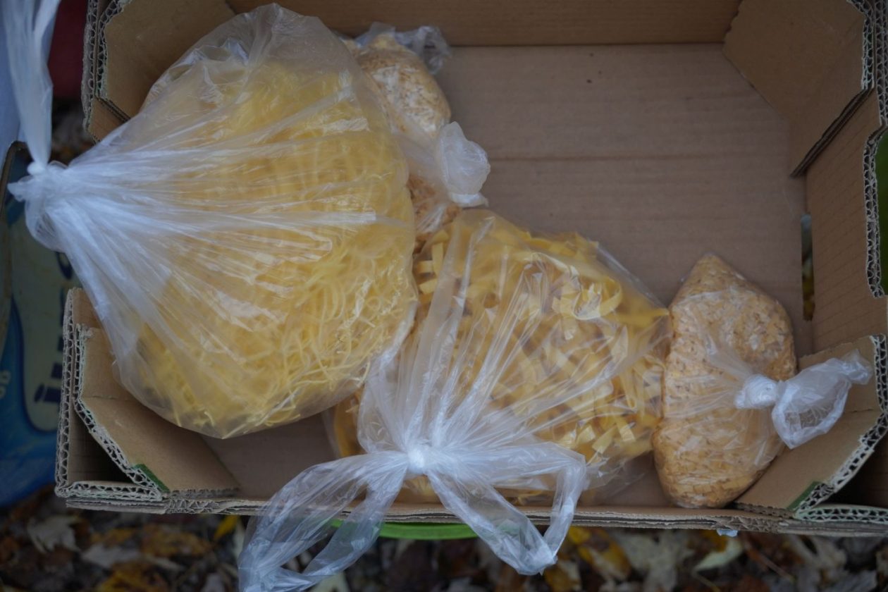 sajam srijedom 5.11.2025 (32)