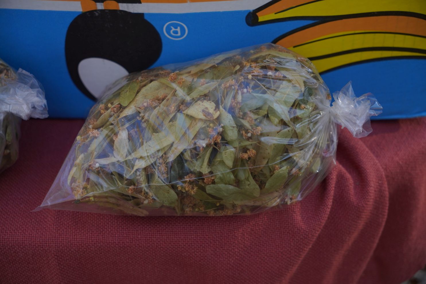 sajam srijedom 5.11.2025 (33)