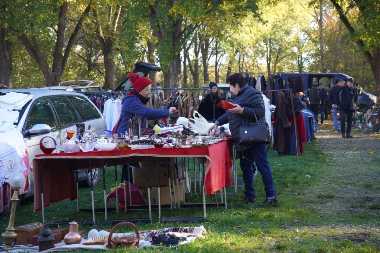 sajam srijedom 5.11.2025 (37)