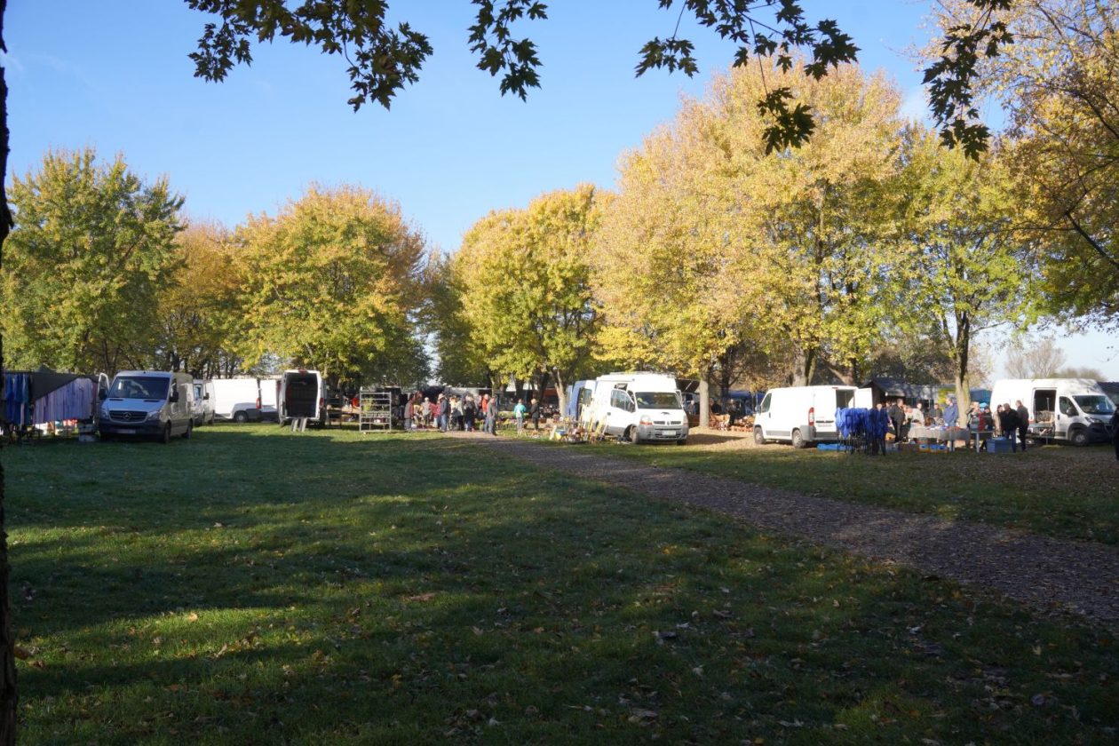 sajam srijedom 5.11.2025 (38)