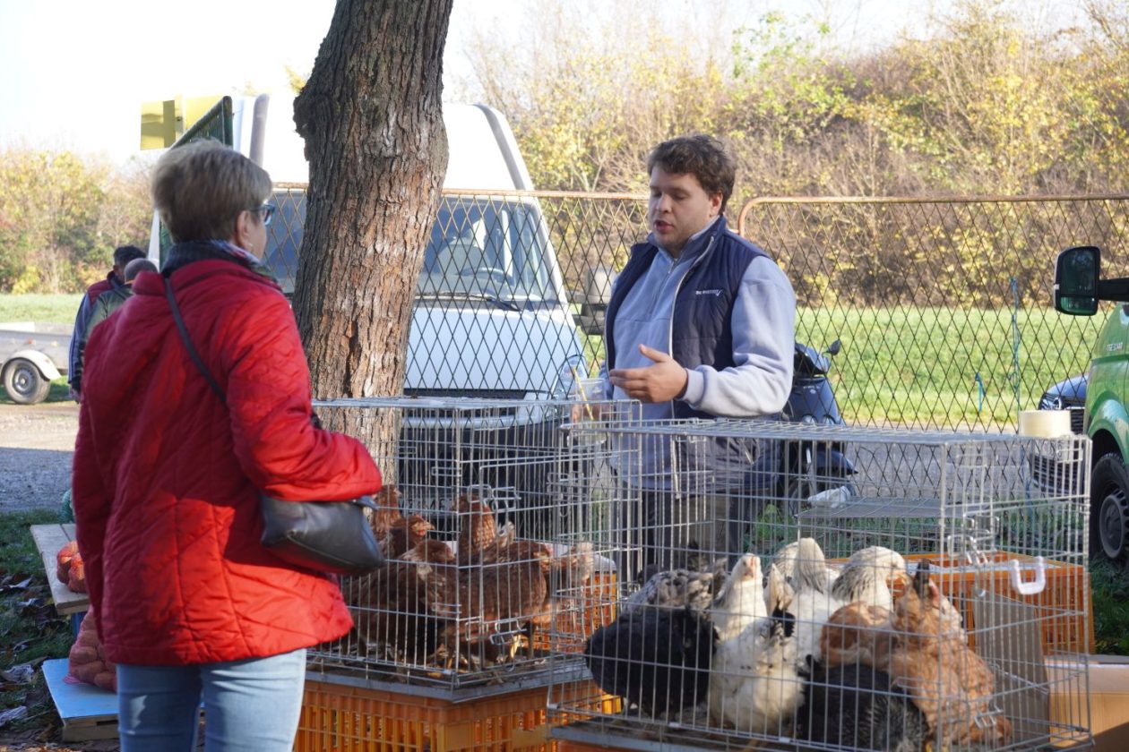 sajam srijedom 5.11.2025 (40)