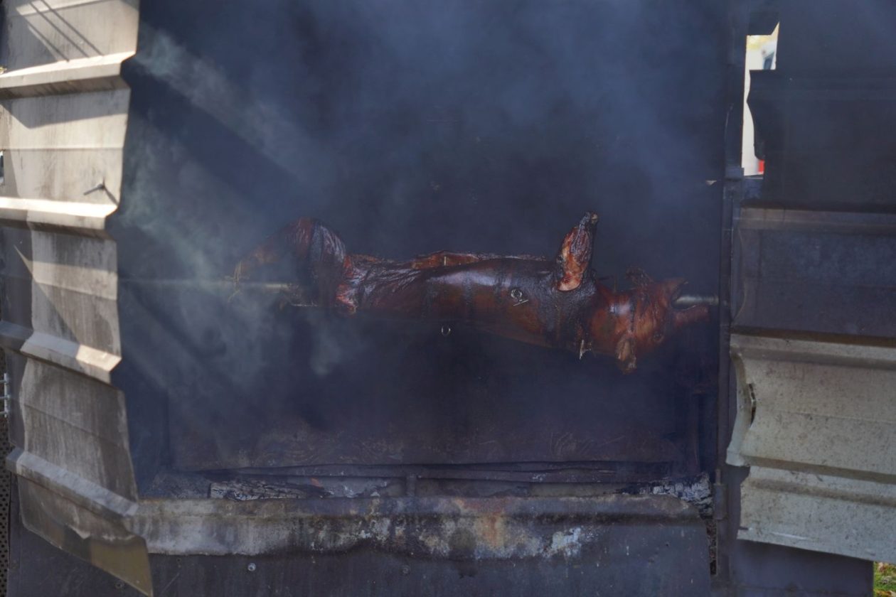 sajam srijedom 5.11.2025 (46) odojak