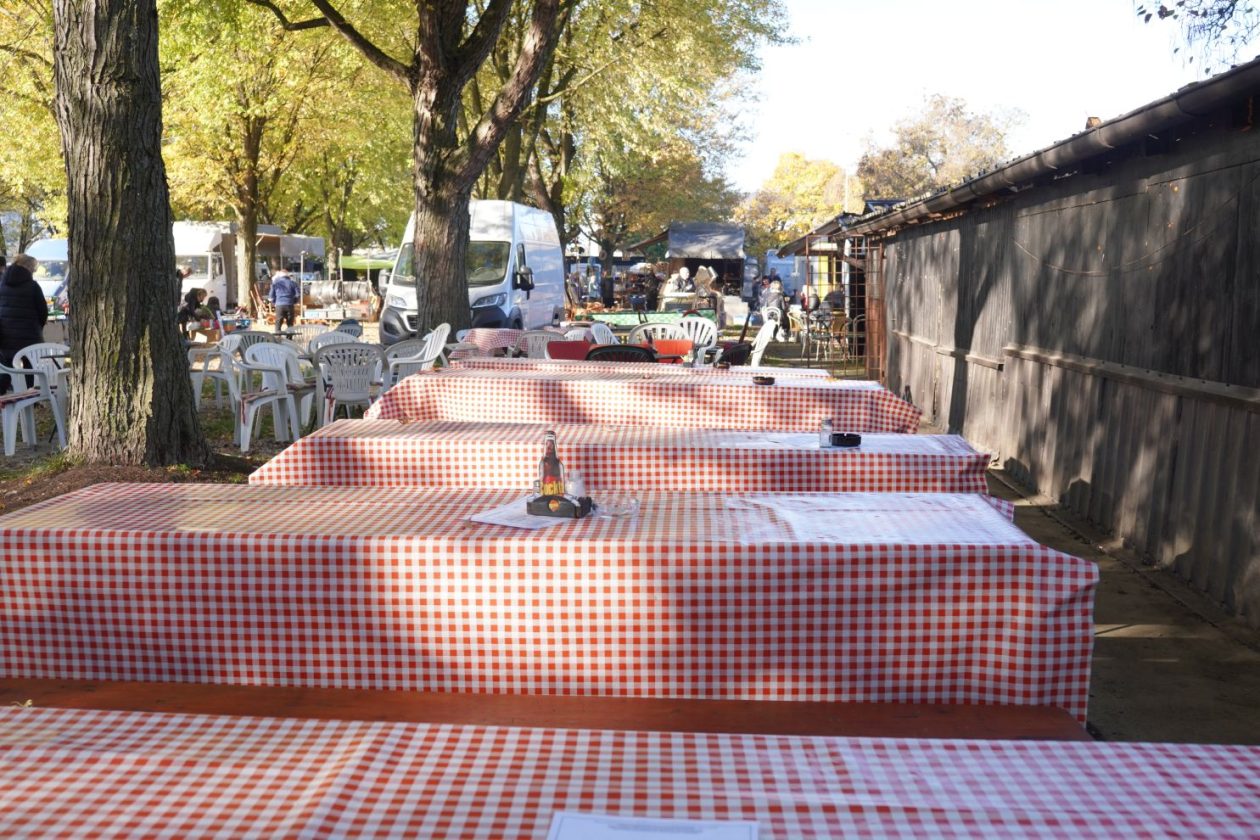 sajam srijedom 5.11.2025 (47)