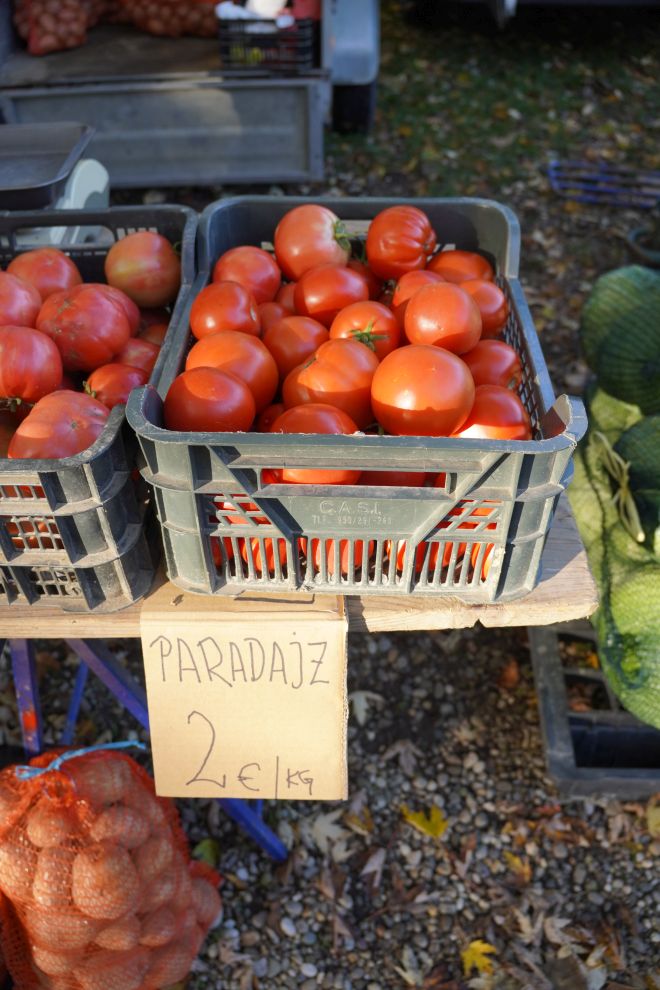 sajam srijedom 5.11.2025 (5)