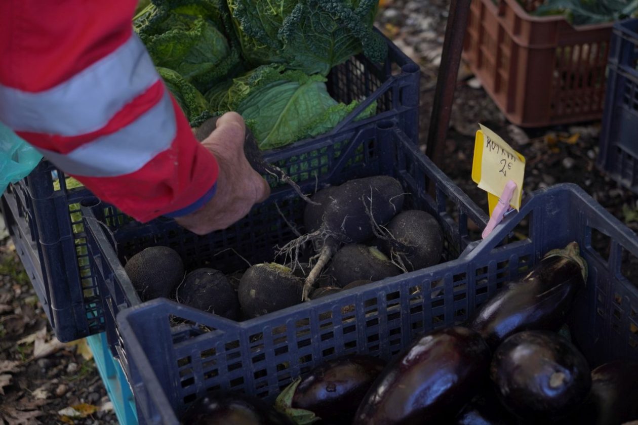 sajam srijedom 5.11.2025 (7)