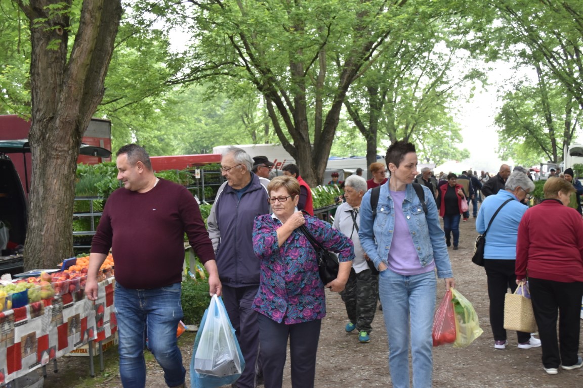 sajam srijedom (51) sajam srijedom (51)