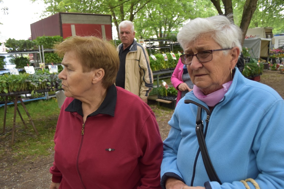 sajam srijedom (53) sajam srijedom (53)