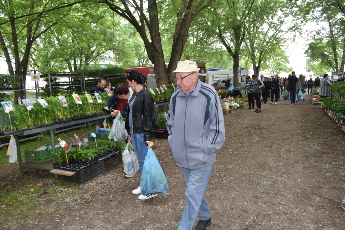 sajam srijedom (54) sajam srijedom (54)