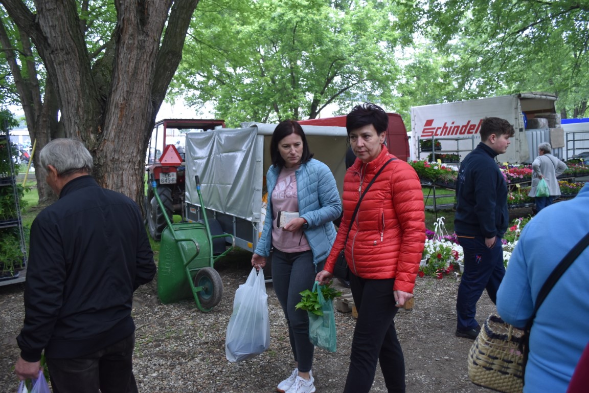 sajam srijedom (57) sajam srijedom (57)