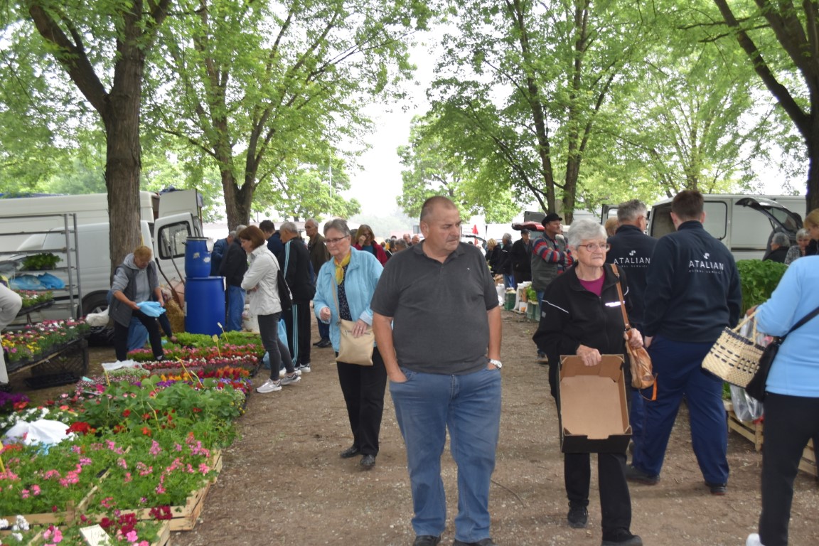 sajam srijedom (59) sajam srijedom (59)