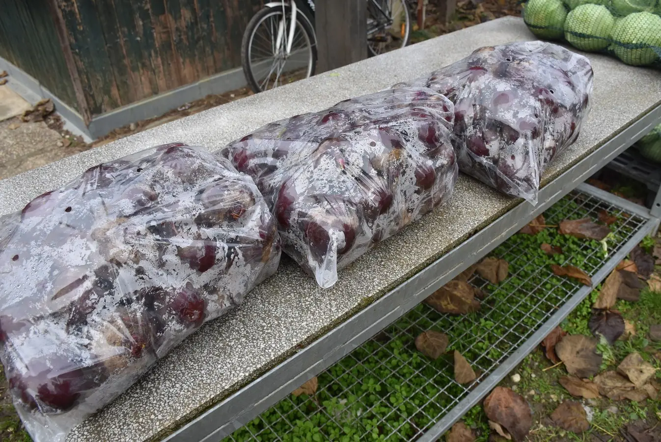 sajam srijedom 6.11 (10)