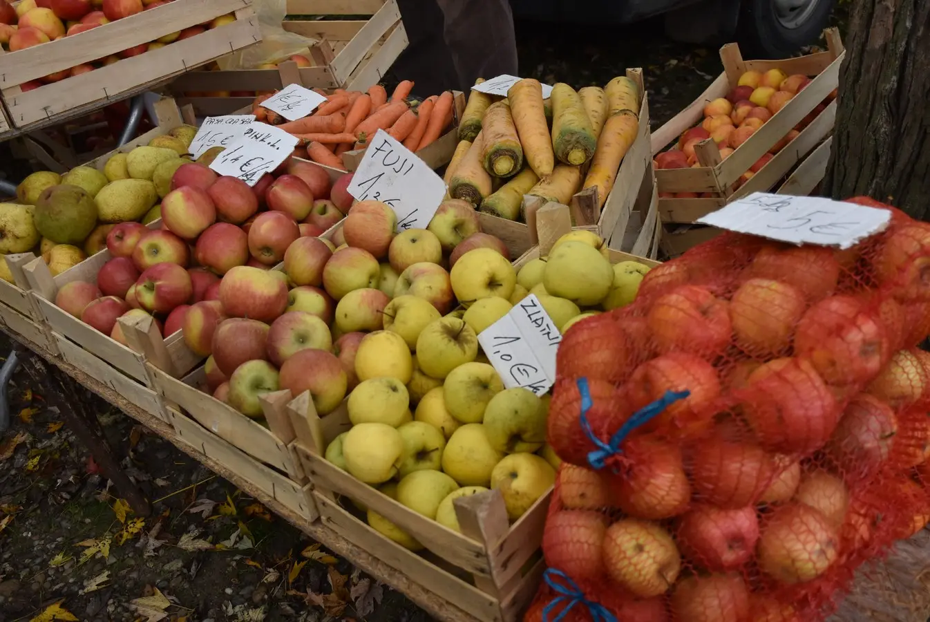 sajam srijedom 6.11 (16)