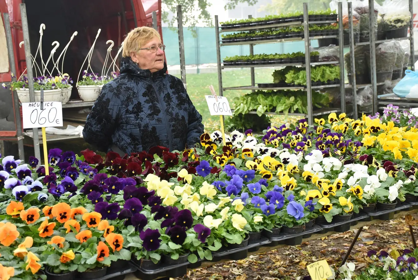 sajam srijedom 6.11 (20)