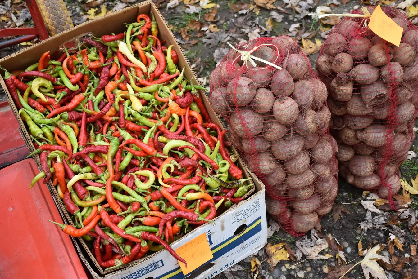 sajam srijedom 6.11 (22)