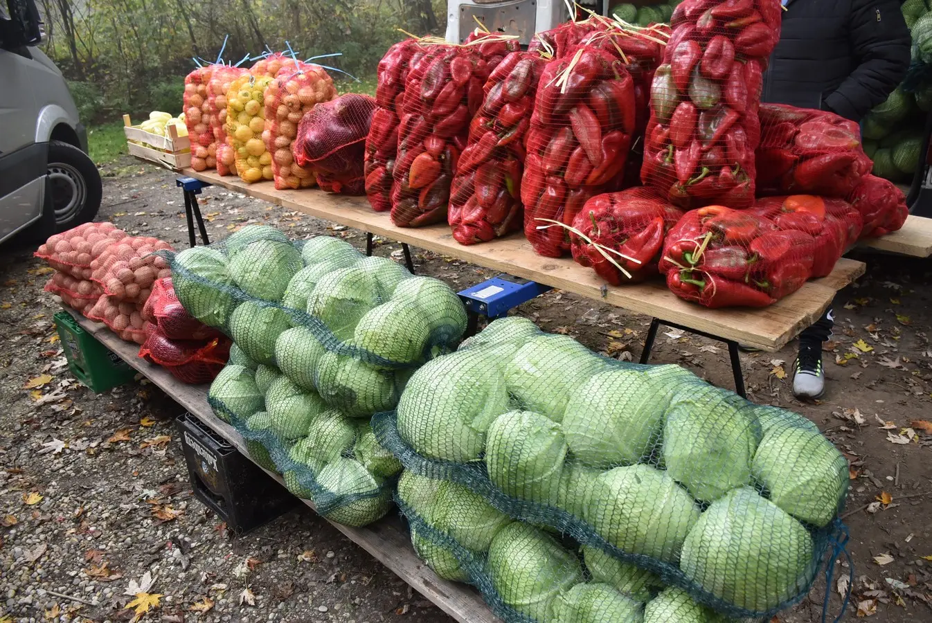 sajam srijedom 6.11 (27)