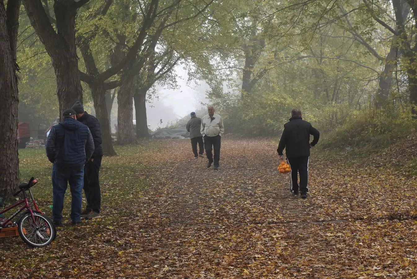 sajam srijedom 6.11 (28)