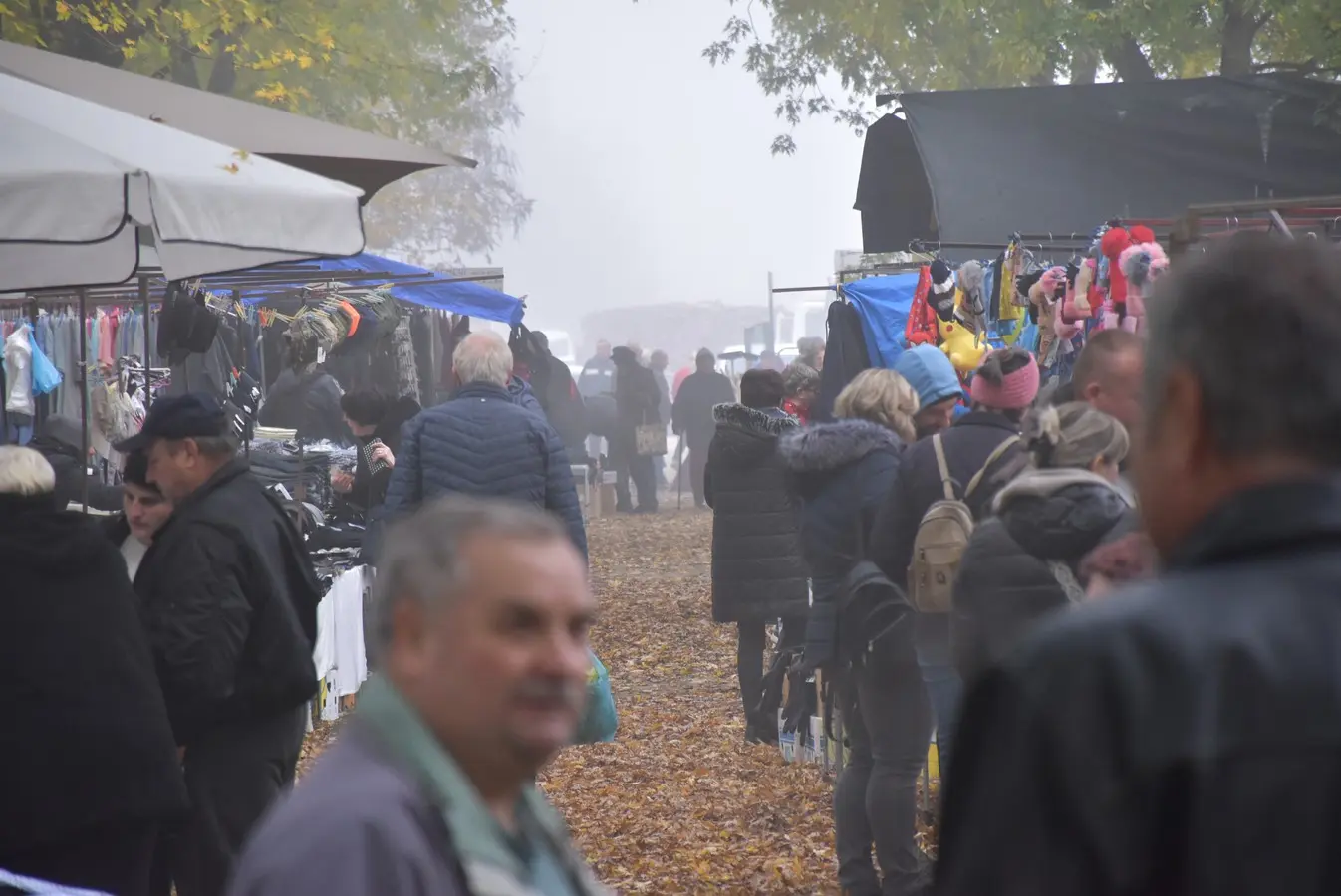 sajam srijedom 6.11 (29)