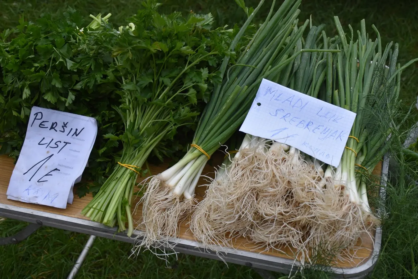 sajam srijedom 6.11 (35)