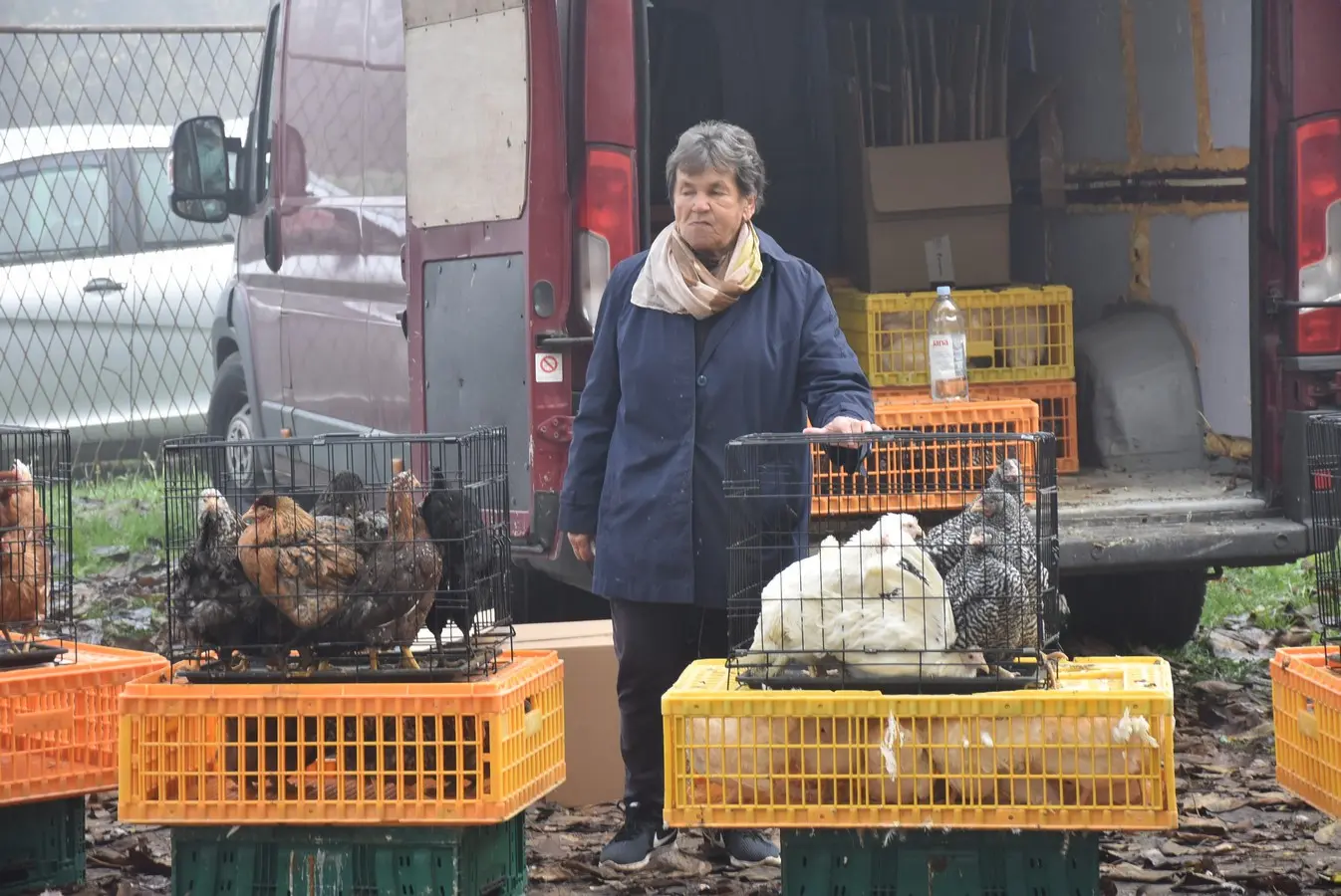 sajam srijedom 6.11 (38)