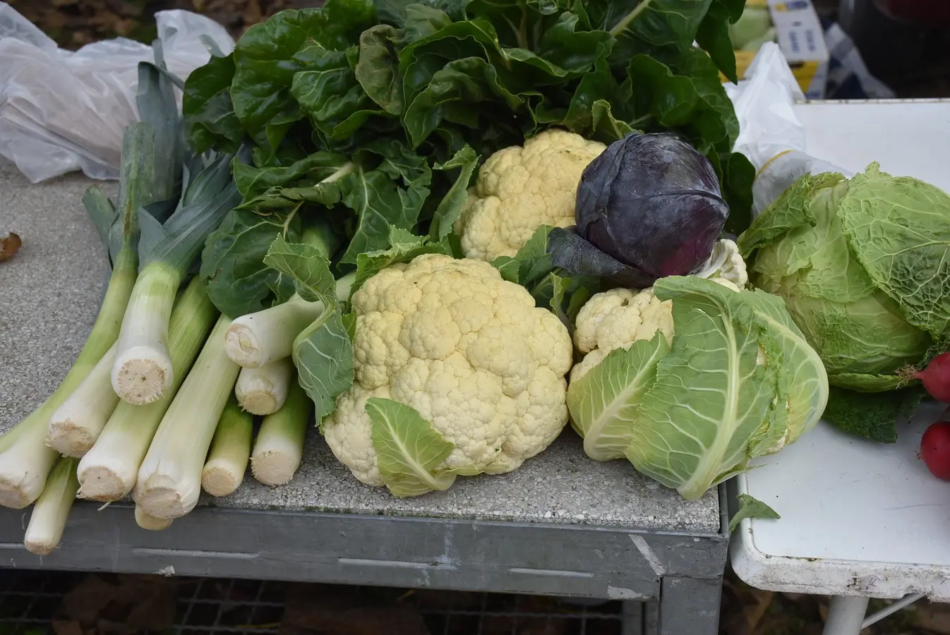 sajam srijedom 6.11 (7)