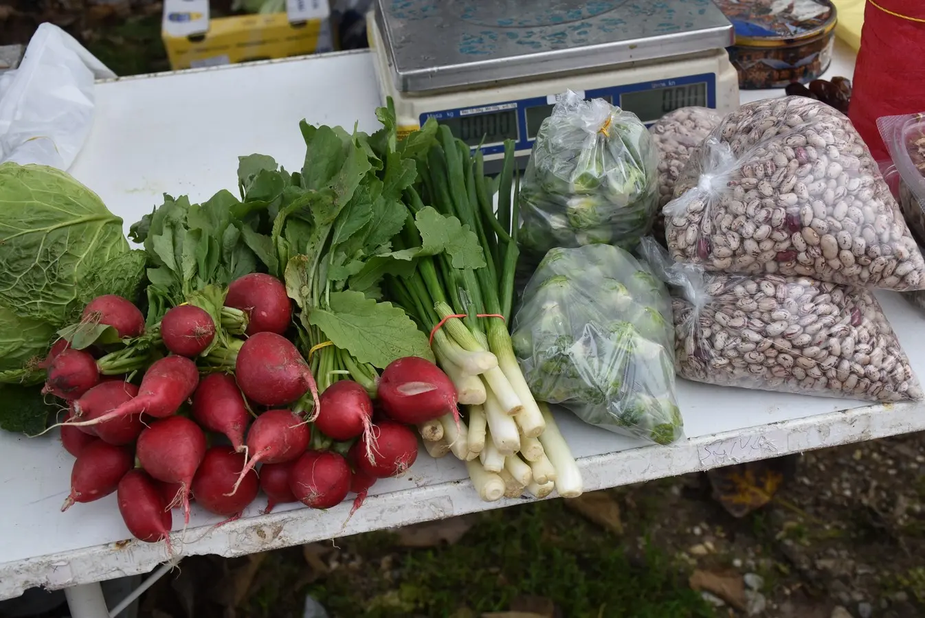 sajam srijedom 6.11 (8)