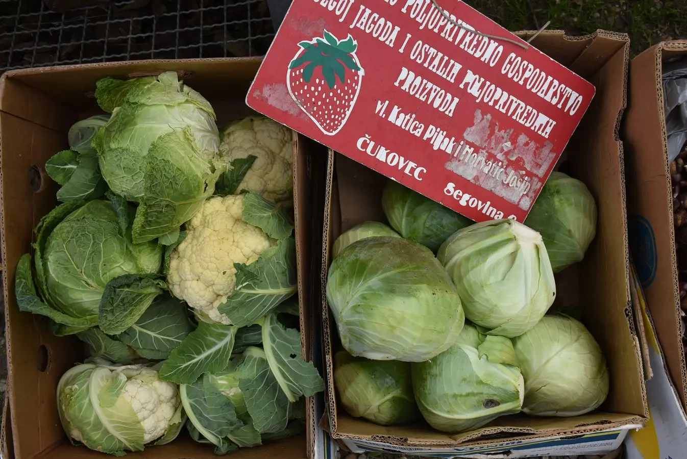 sajam srijedom 6.11 (9)