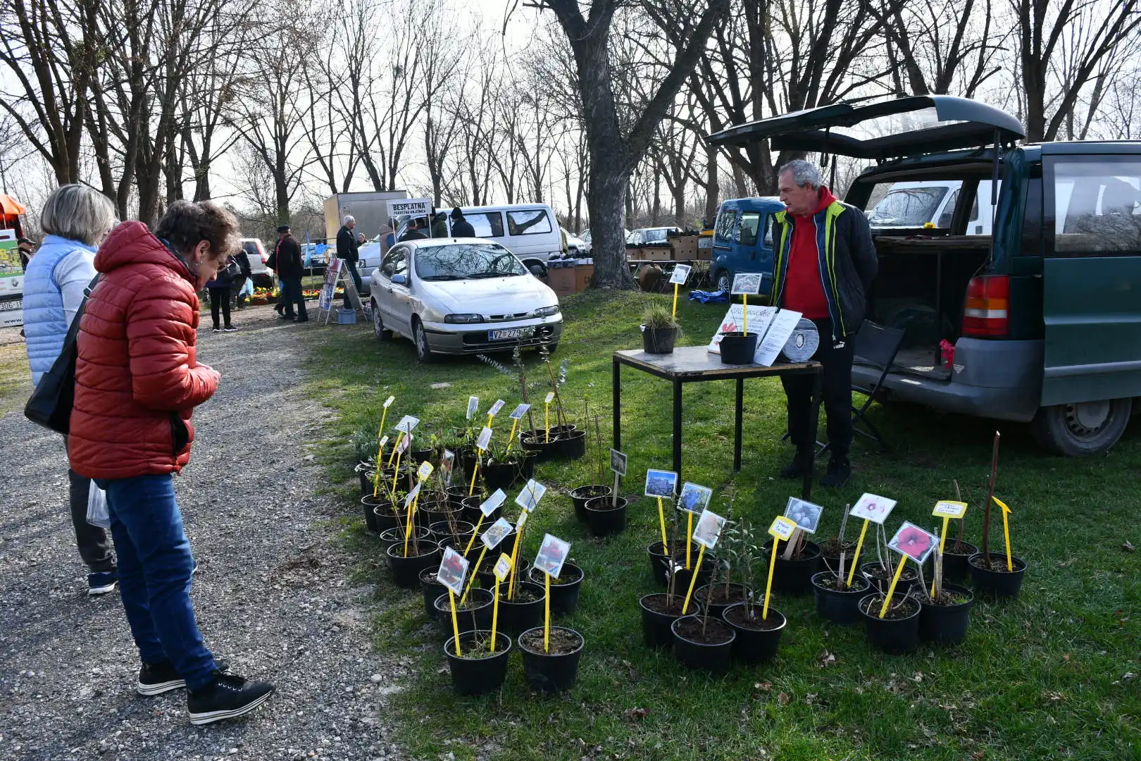 sajam srijedom, 6.3.2024 (17)