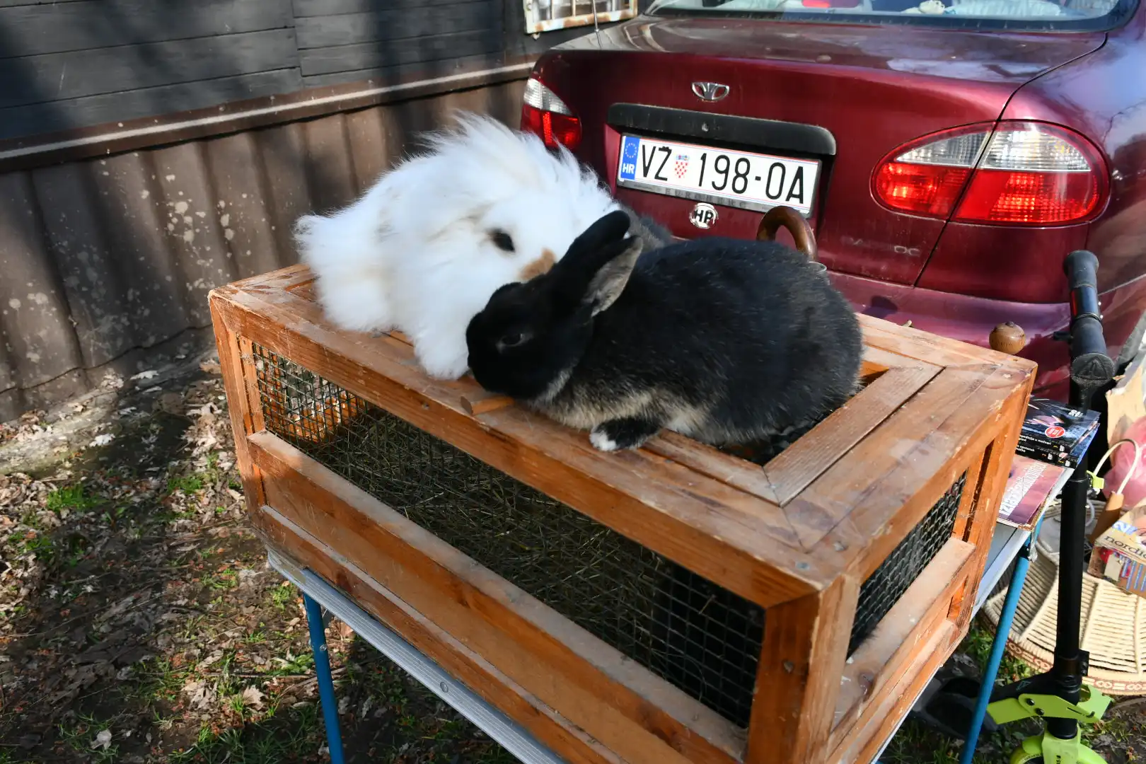 sajam srijedom, 6.3.2024 (18)