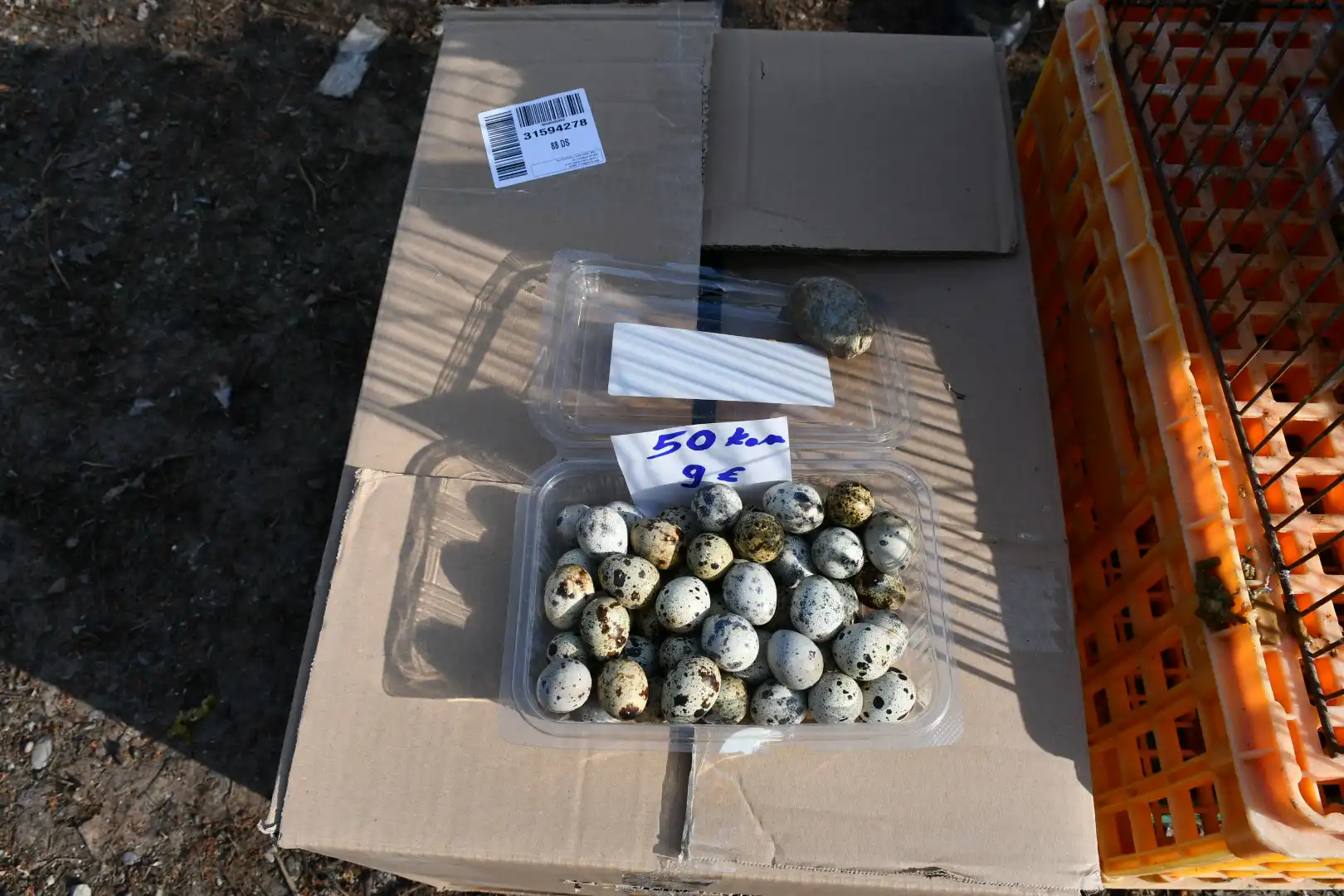 sajam srijedom, 6.3.2024 (20)