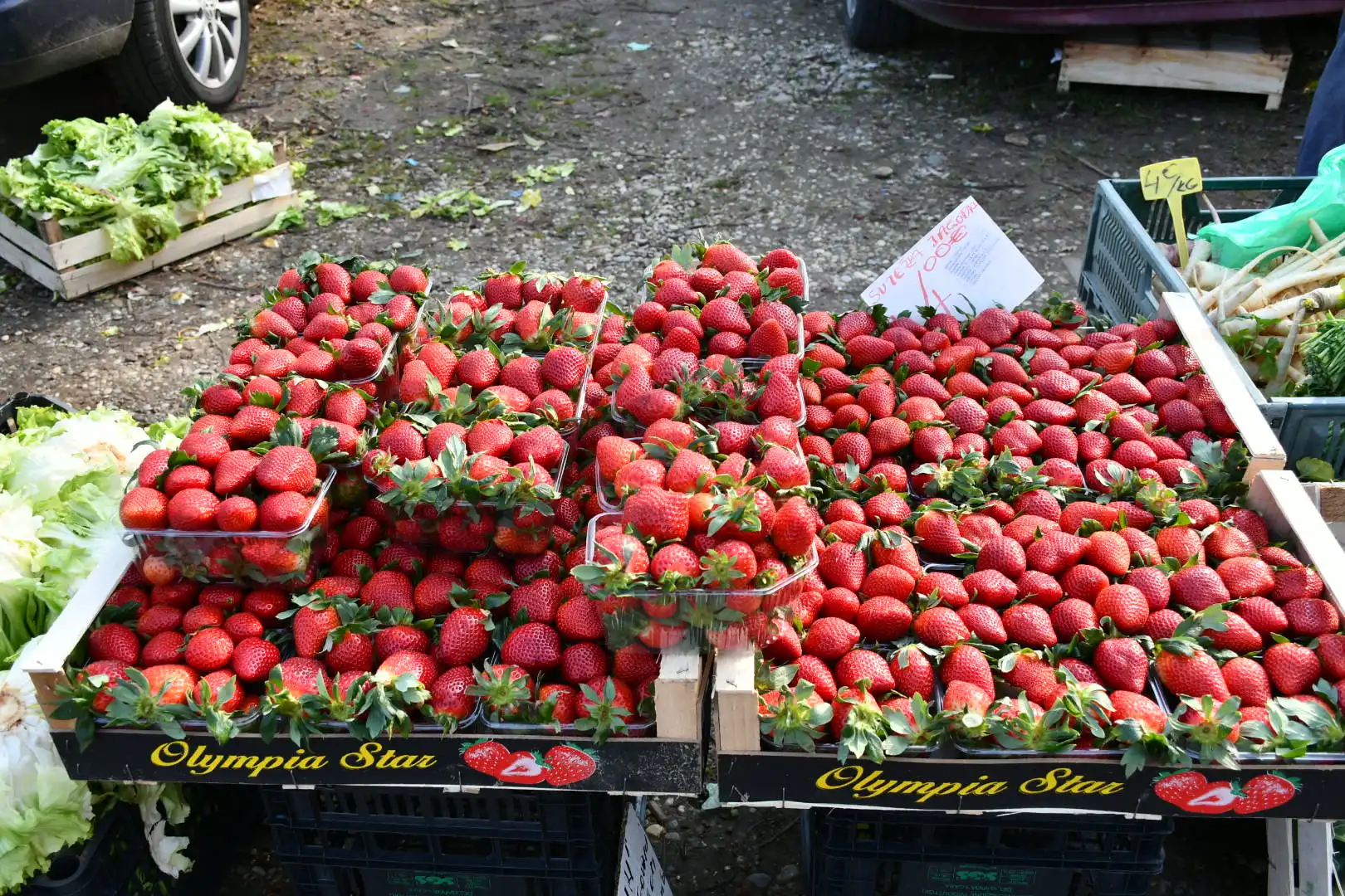 sajam srijedom, 6.3.2024 (33)